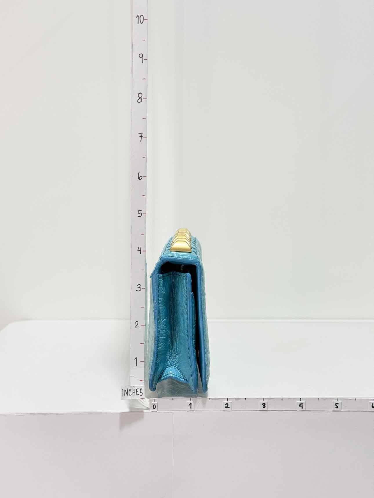 VICTOR HUGO Tortoise Clutch