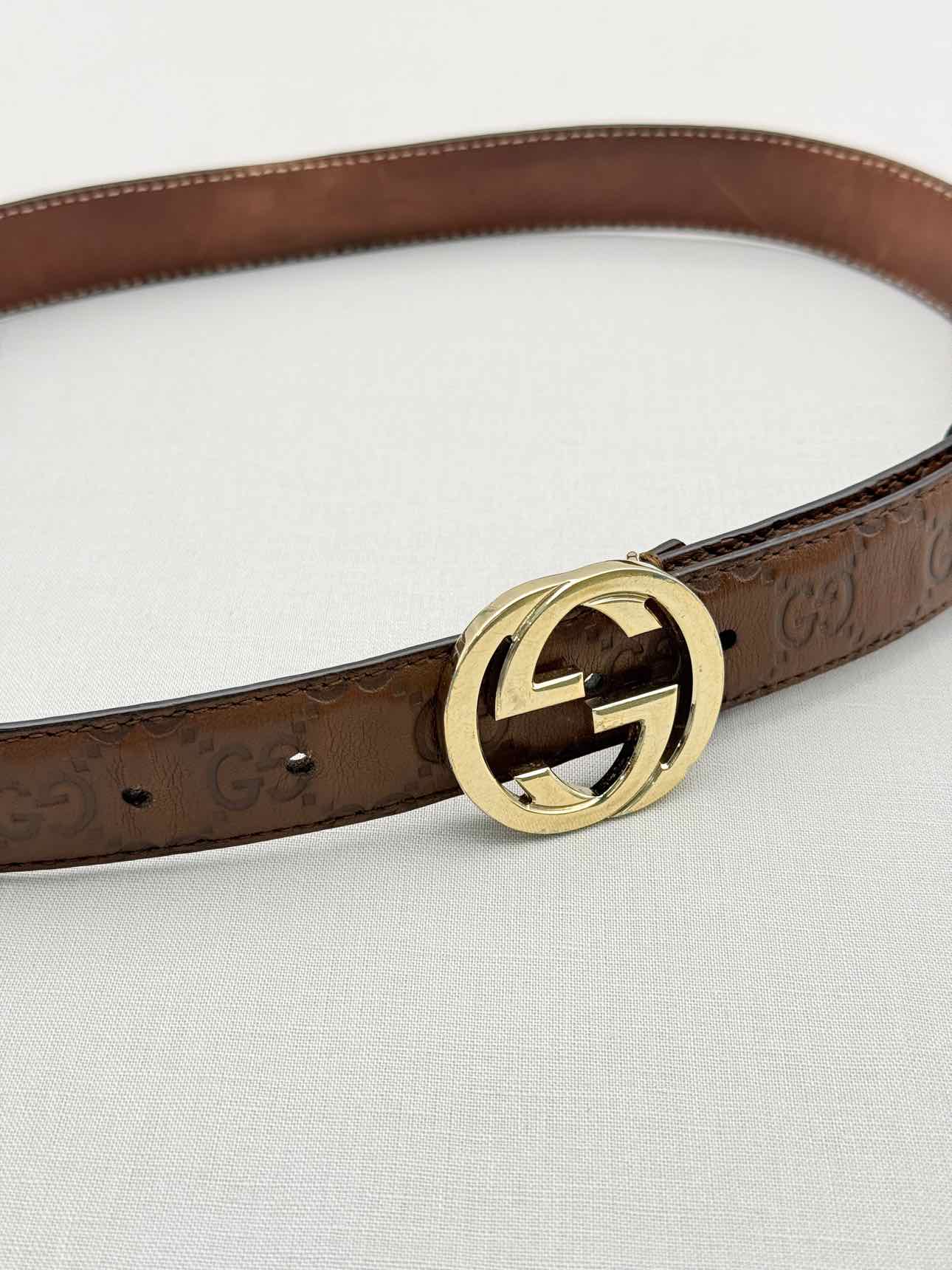 GUCCI Brown Guccissima Belt