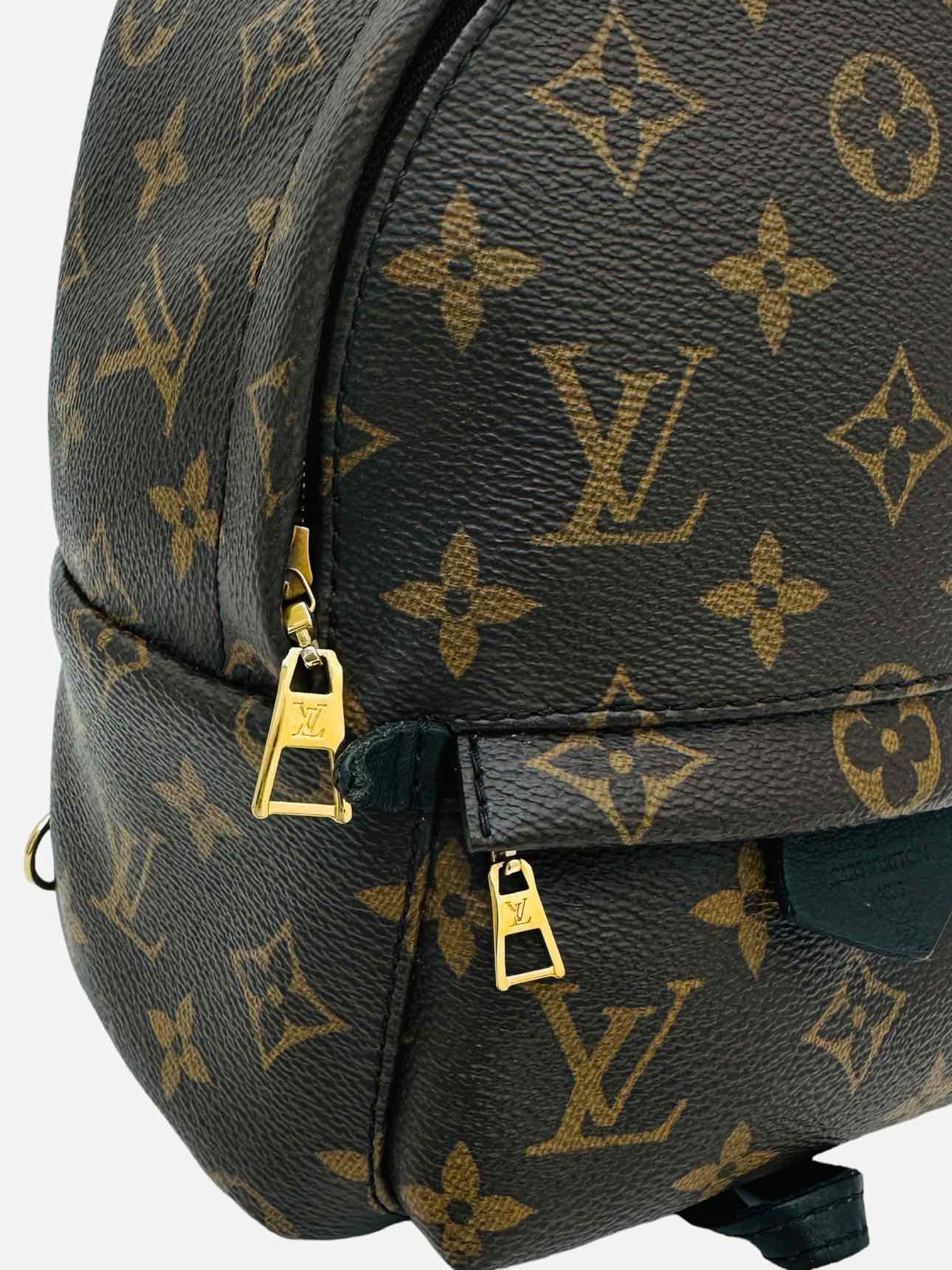 LOUIS VUITTON Palm Springs Brown Monogram Backpack
