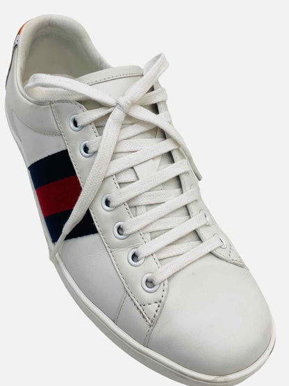 GUCCI Web Tiger White Sneakers 40.5