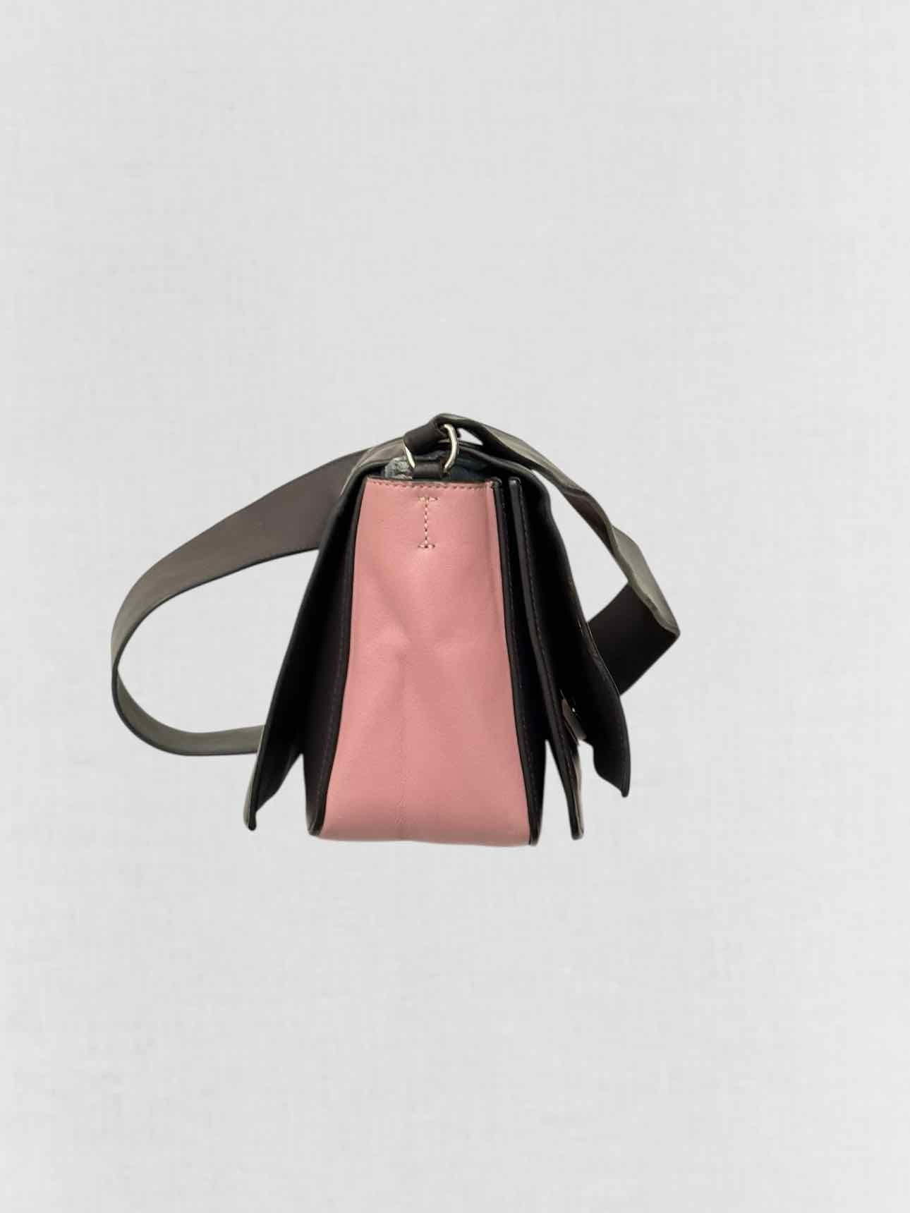 CELINE Grey & Pink Crossbody