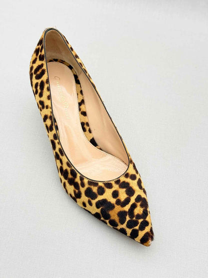 GIANVITO ROSSI Brown & Beige Size EU 35.5 Pumps