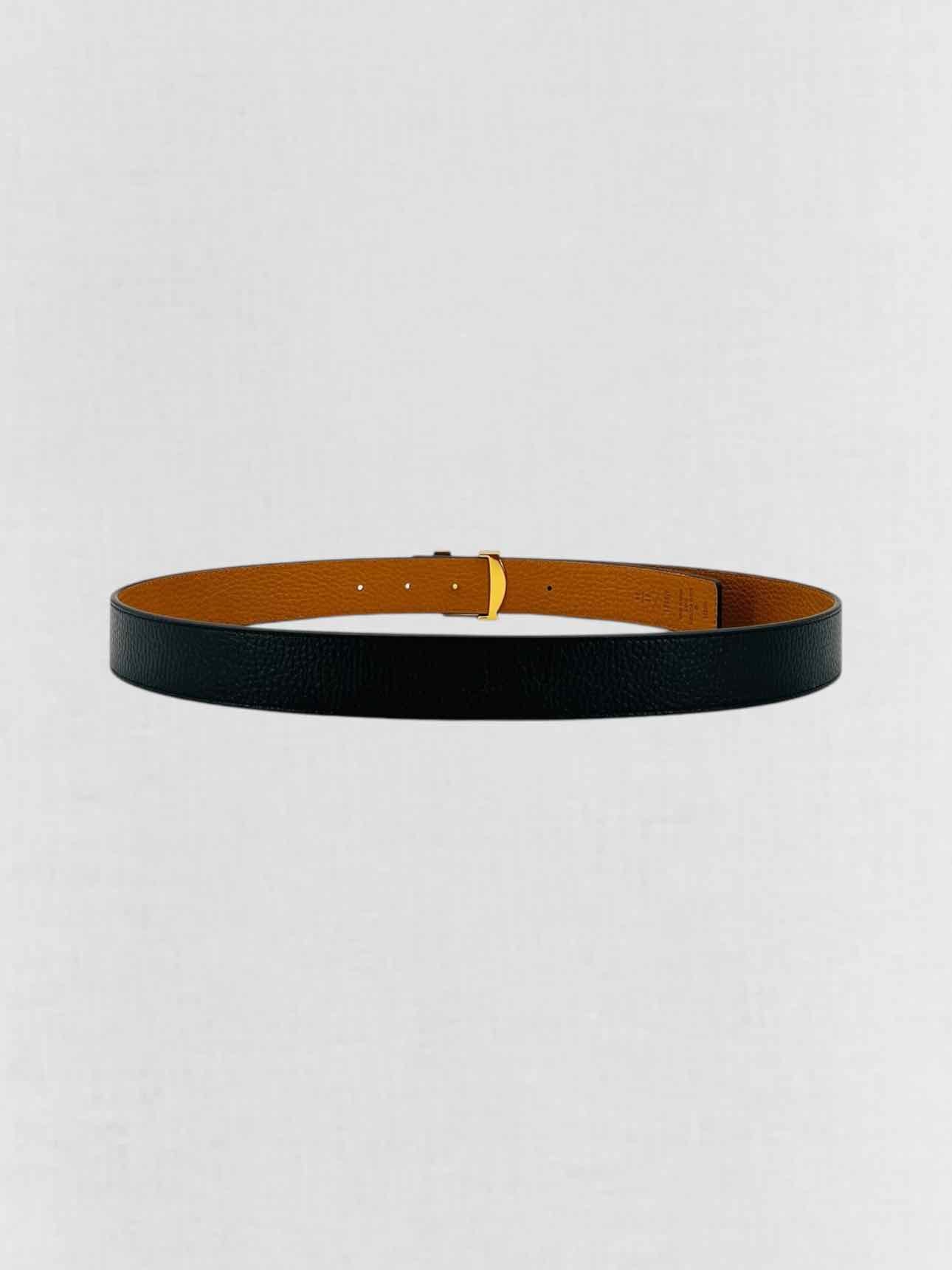 LOUIS VUITTON Black & Tan Belt