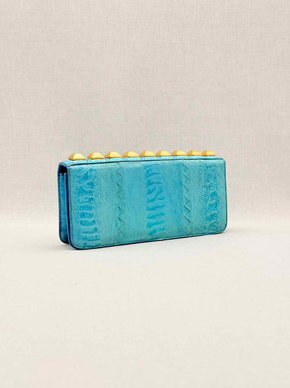 VICTOR HUGO Tortoise Clutch
