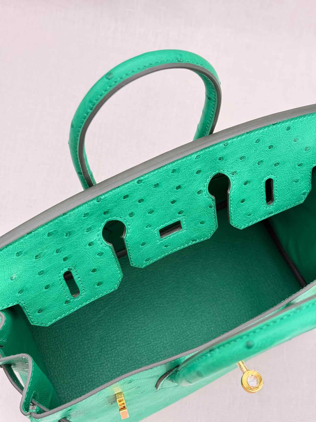 HERMES Birkin Vert Vertigo Top Handle