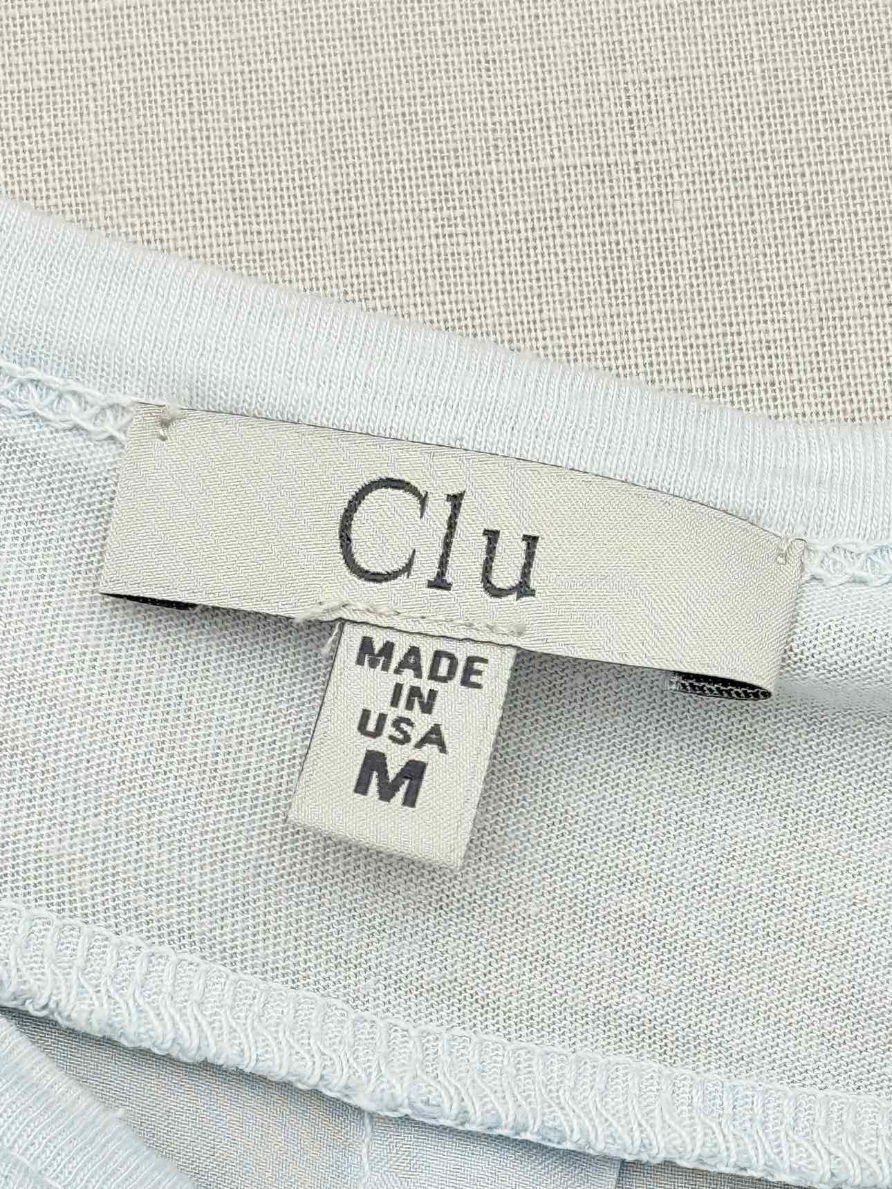 CLU Light Blue Pleated Size Medium Top