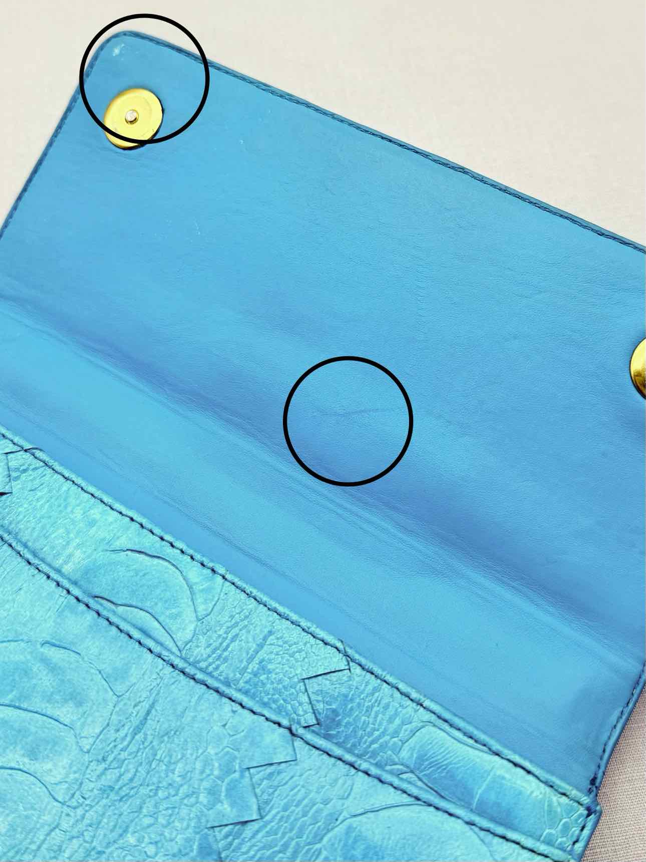 VICTOR HUGO Tortoise Clutch