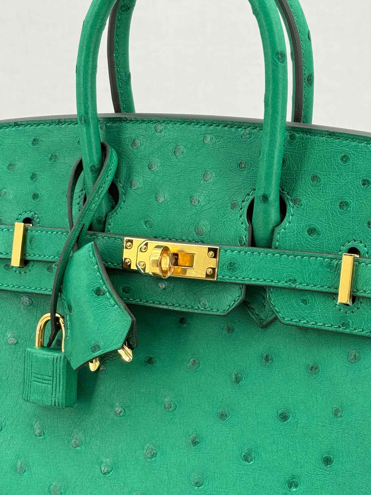 HERMES Birkin Vert Vertigo Top Handle