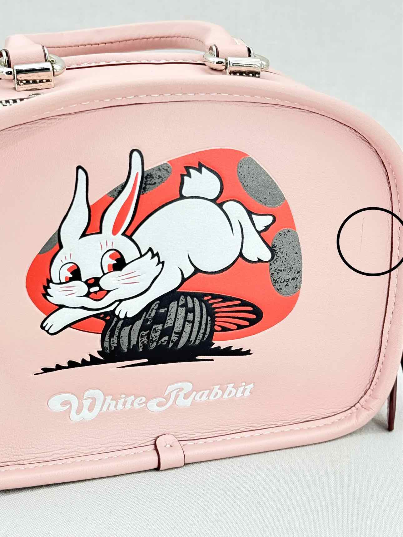 COACH Limited Edition Pink Top Handle