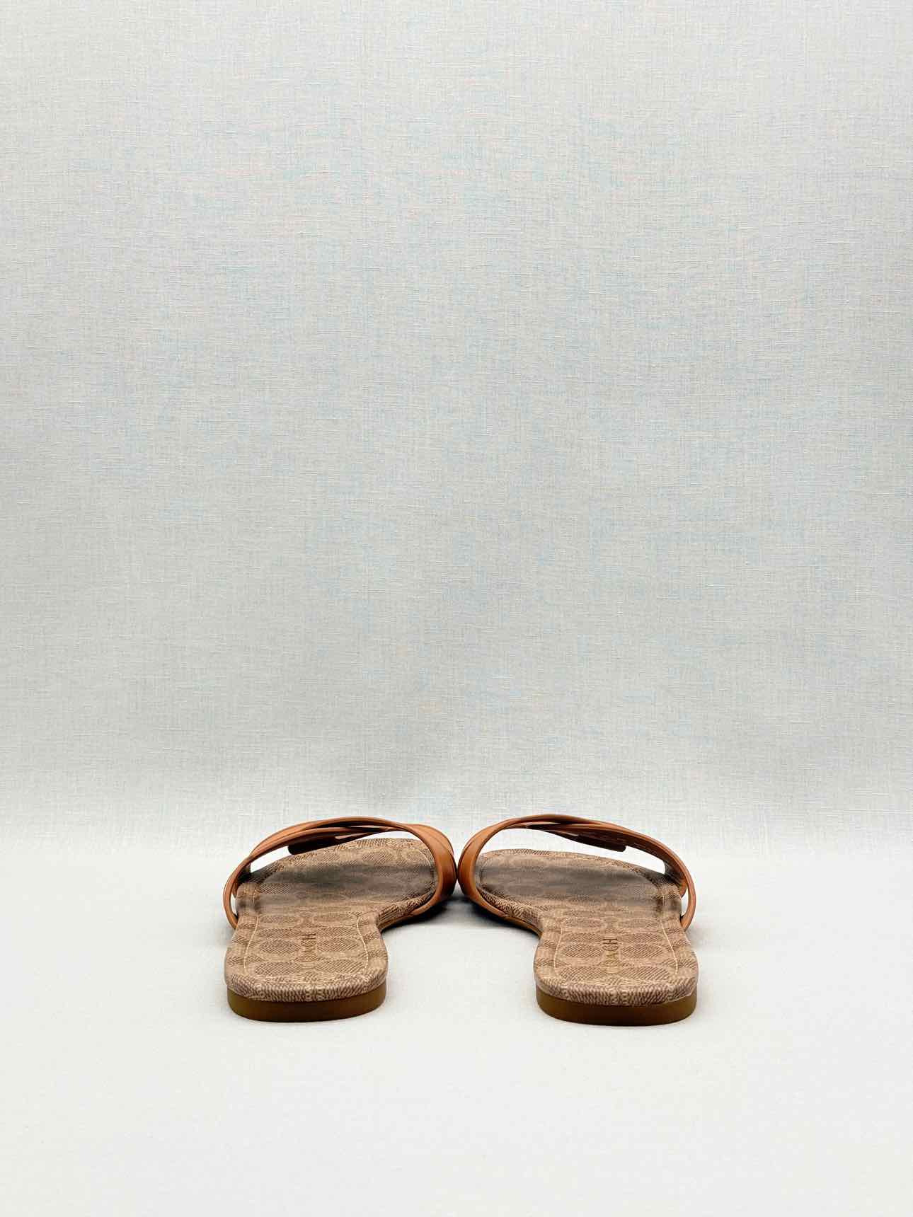 COACH Brown Size EU 39.5 Slide Mules