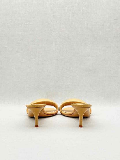 GIANVITO ROSSI Bijoux Beige Size EU 40 Mules