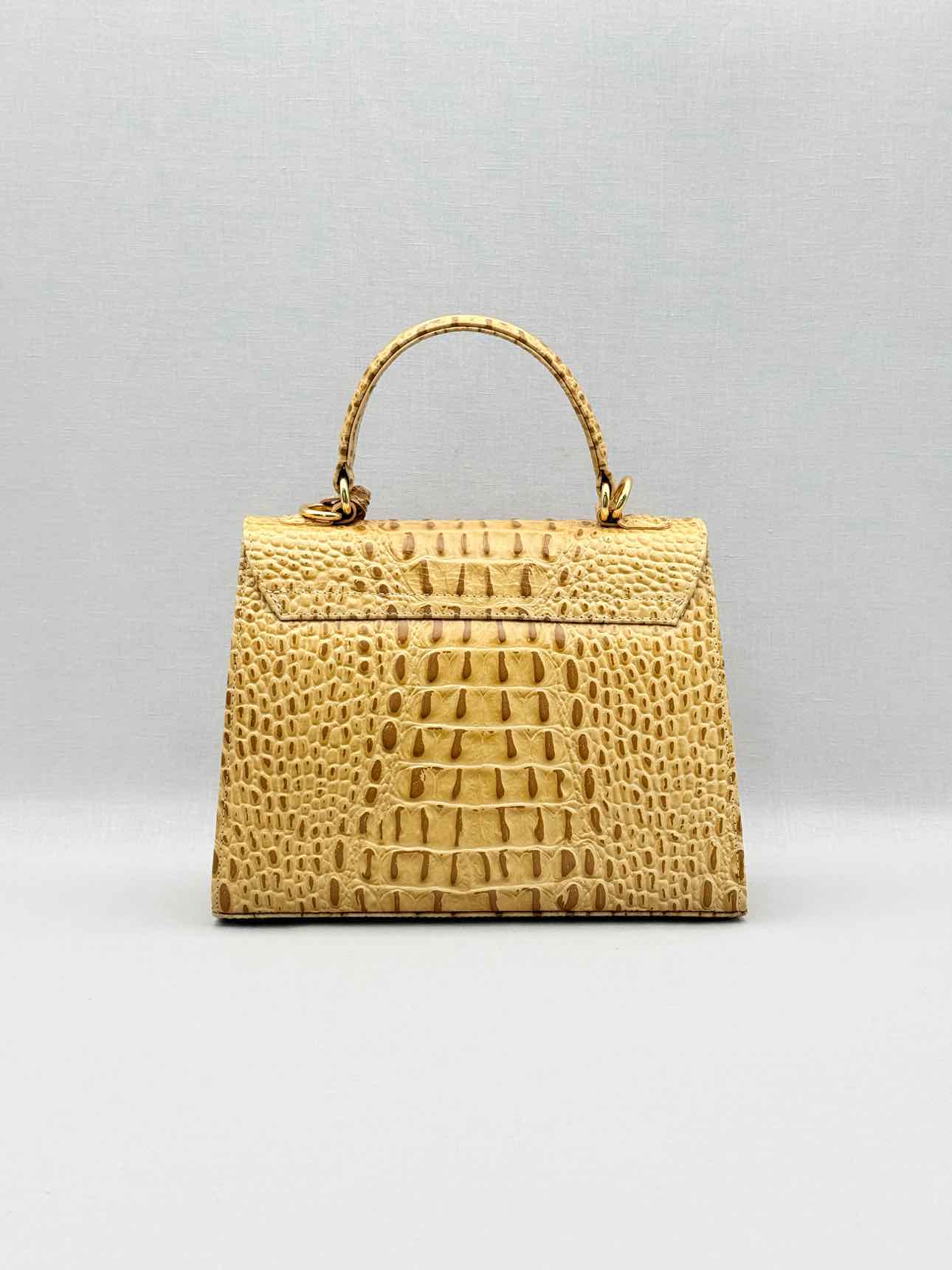 SANDRA J Beige & Brown Top Handle