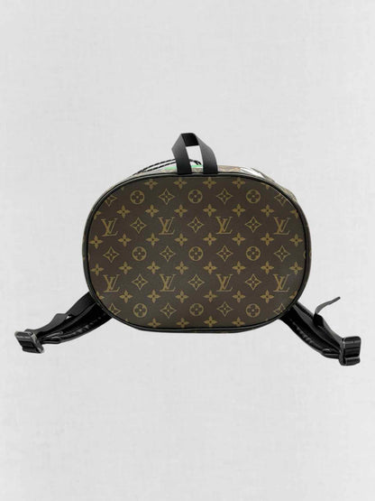 LOUIS VUITTON Limited Edition Brown Multicolor Backpack