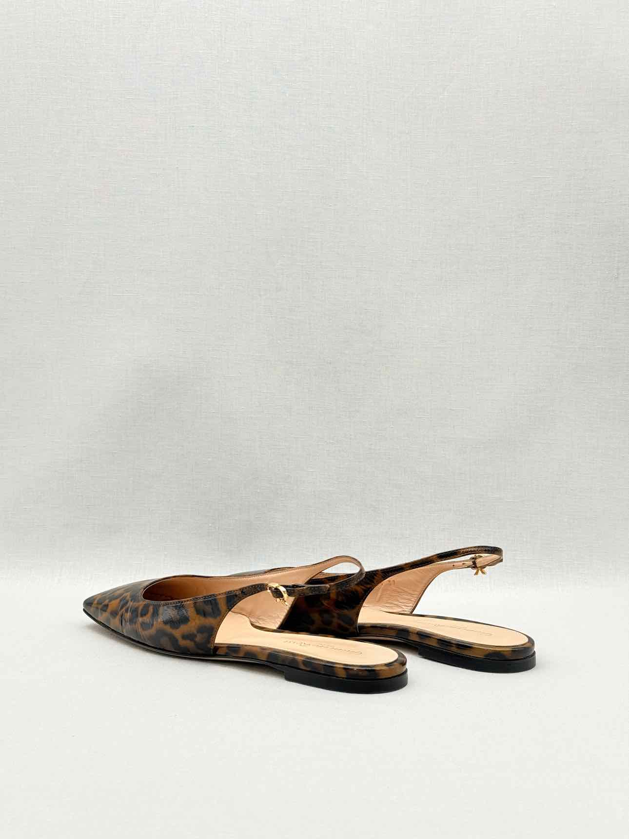 GIANVITO ROSSI Brown & Black Size EU 39 Ballet Flats