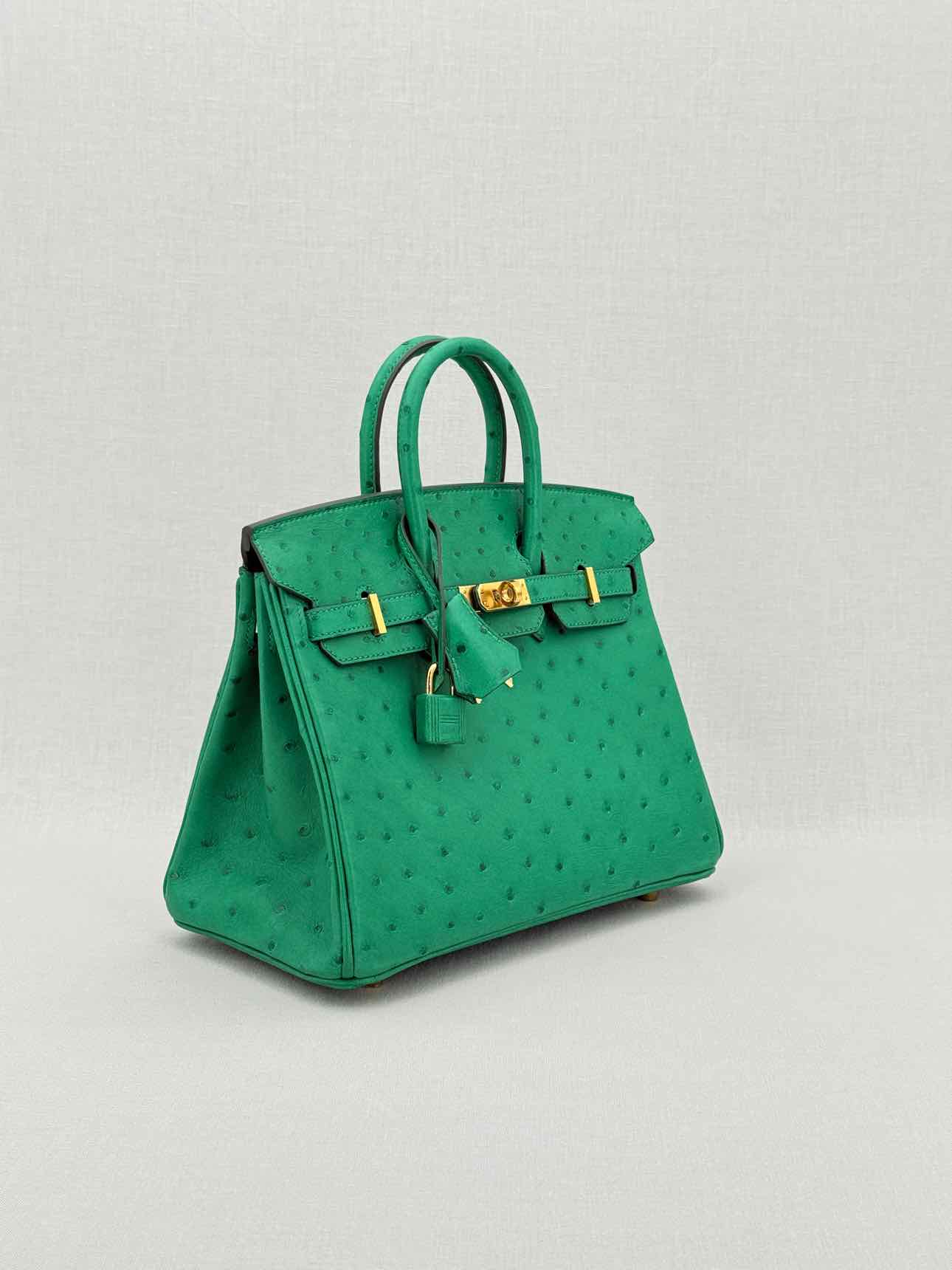 HERMES Birkin Vert Vertigo Top Handle