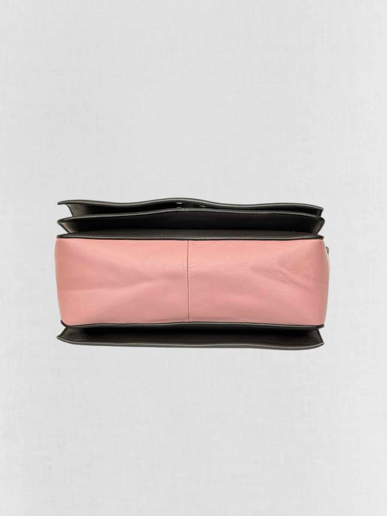 CELINE Grey & Pink Crossbody
