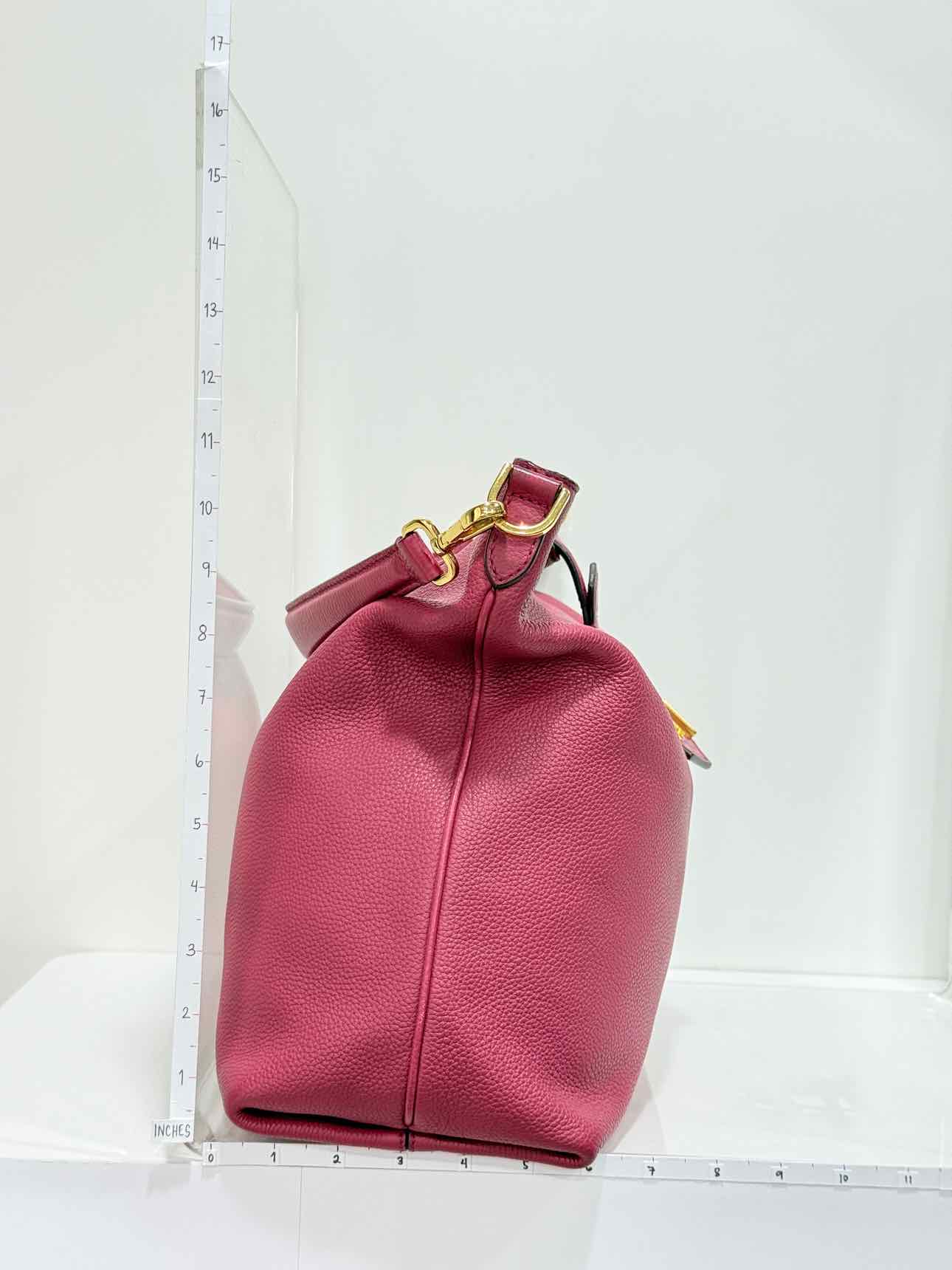 FENDI Anna Selleria Pink Hobo bag