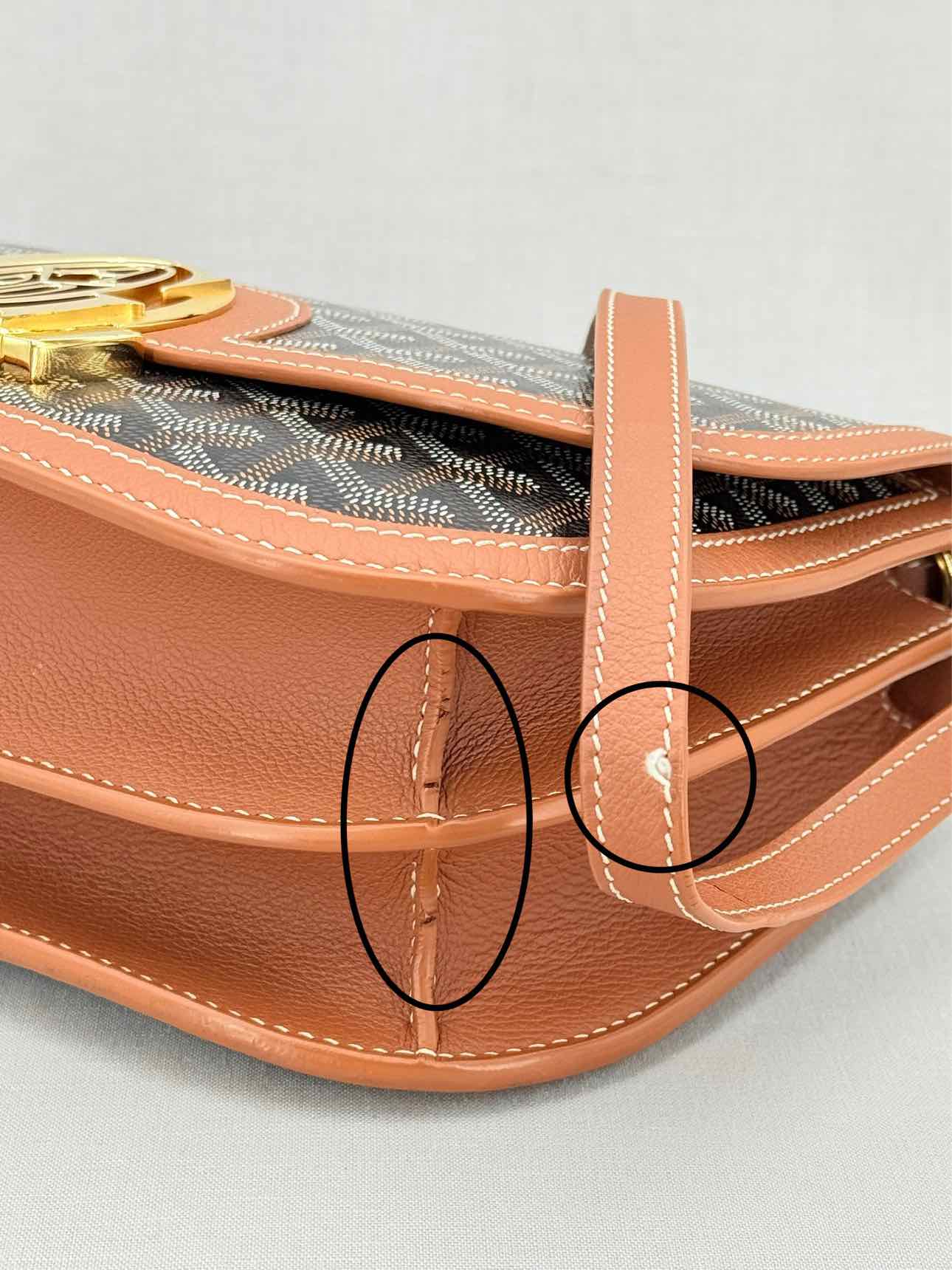 GOYARD Brown & Black Crossbody