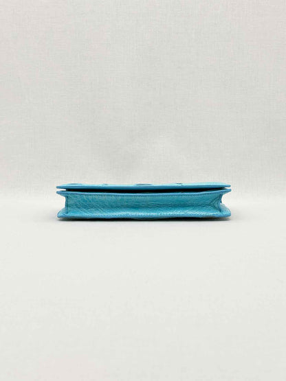 VICTOR HUGO Tortoise Clutch