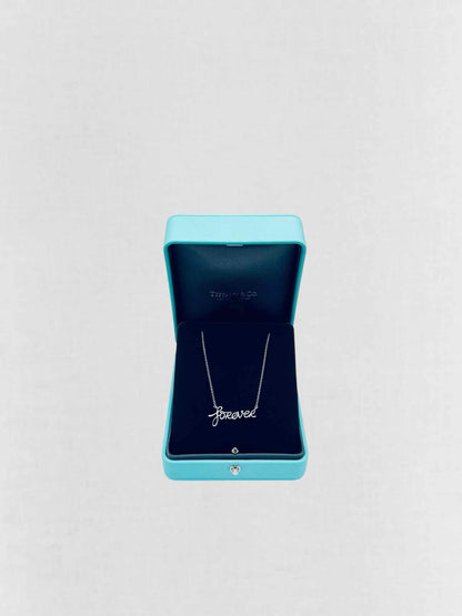 TIFFANY & CO Paloma Picasso Necklace