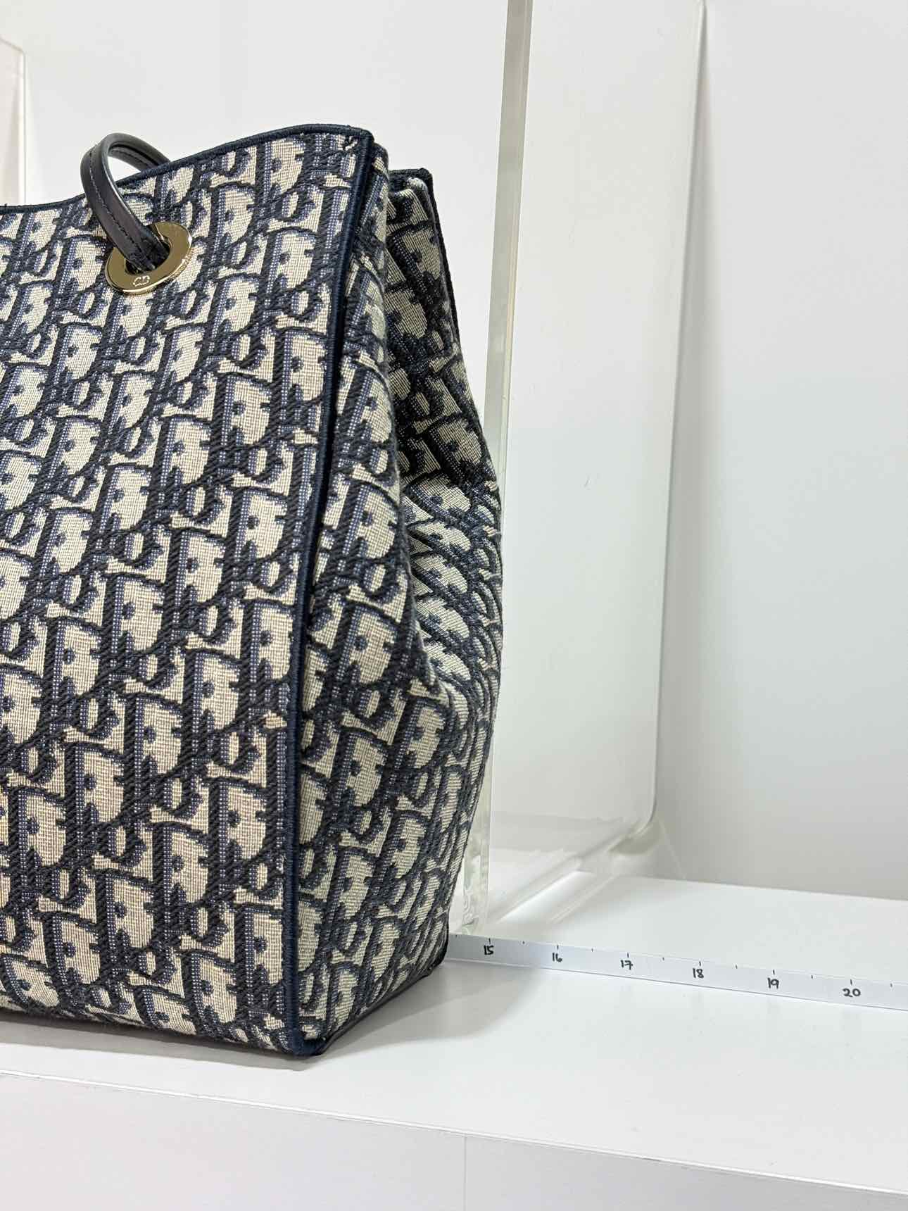 DIOR Promenade Blue & Beige Oblique Jacquard Tote Bag