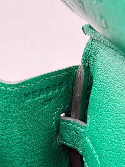 HERMES Birkin Vert Vertigo Top Handle