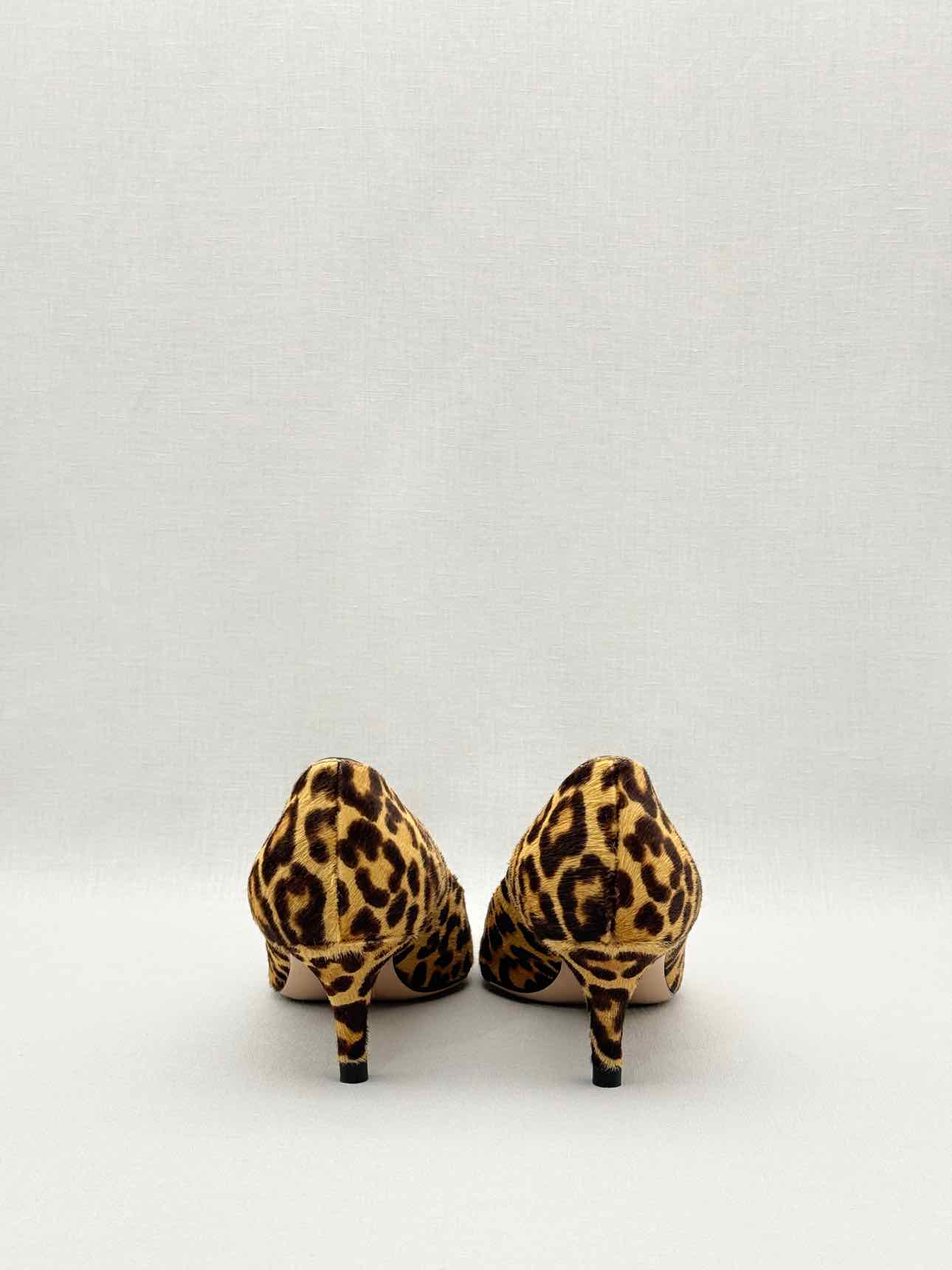 GIANVITO ROSSI Brown & Beige Size EU 35.5 Pumps
