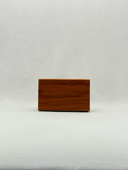 LINA BRAX Brown Multicolor Star Clutch