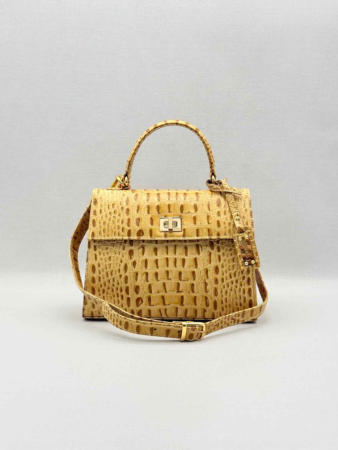 SANDRA J Beige & Brown Top Handle
