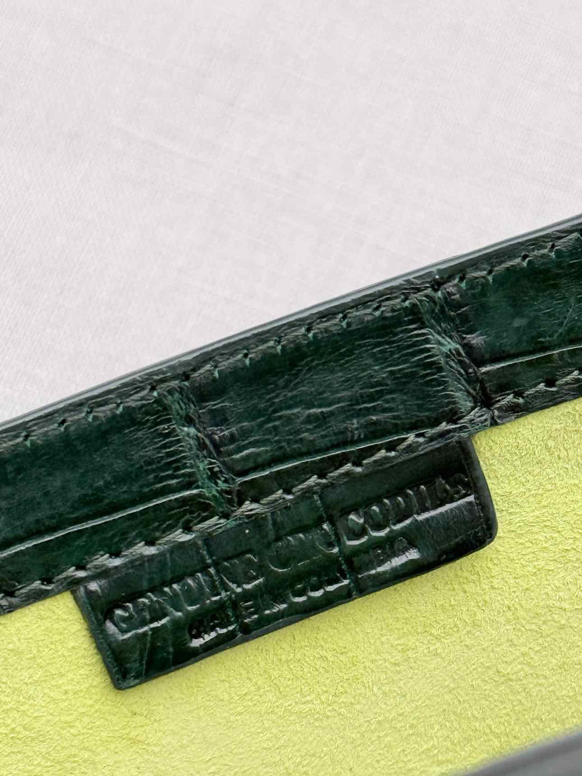 NANCY GONZALEZ Green Clutch