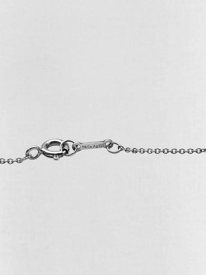 TIFFANY & CO Paloma Picasso Necklace