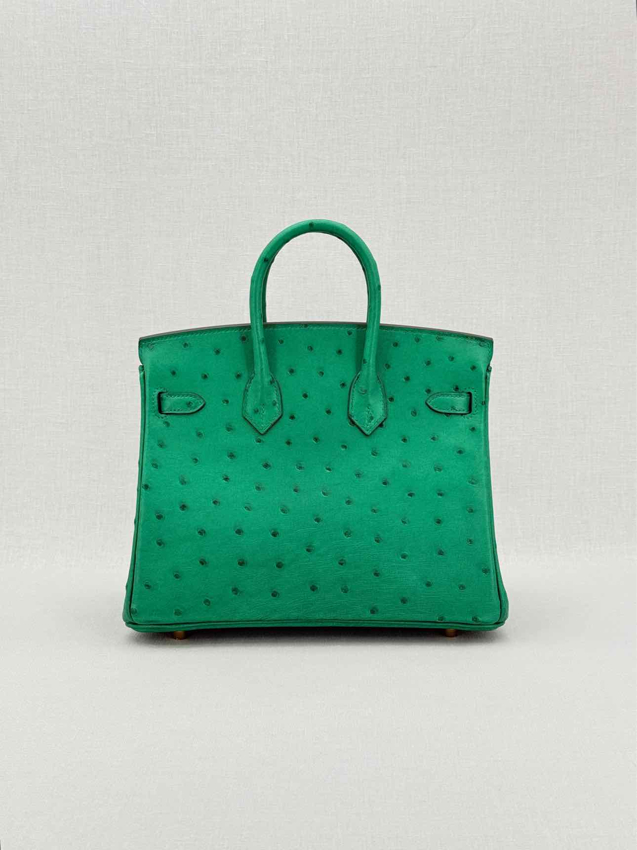 HERMES Birkin Vert Vertigo Top Handle