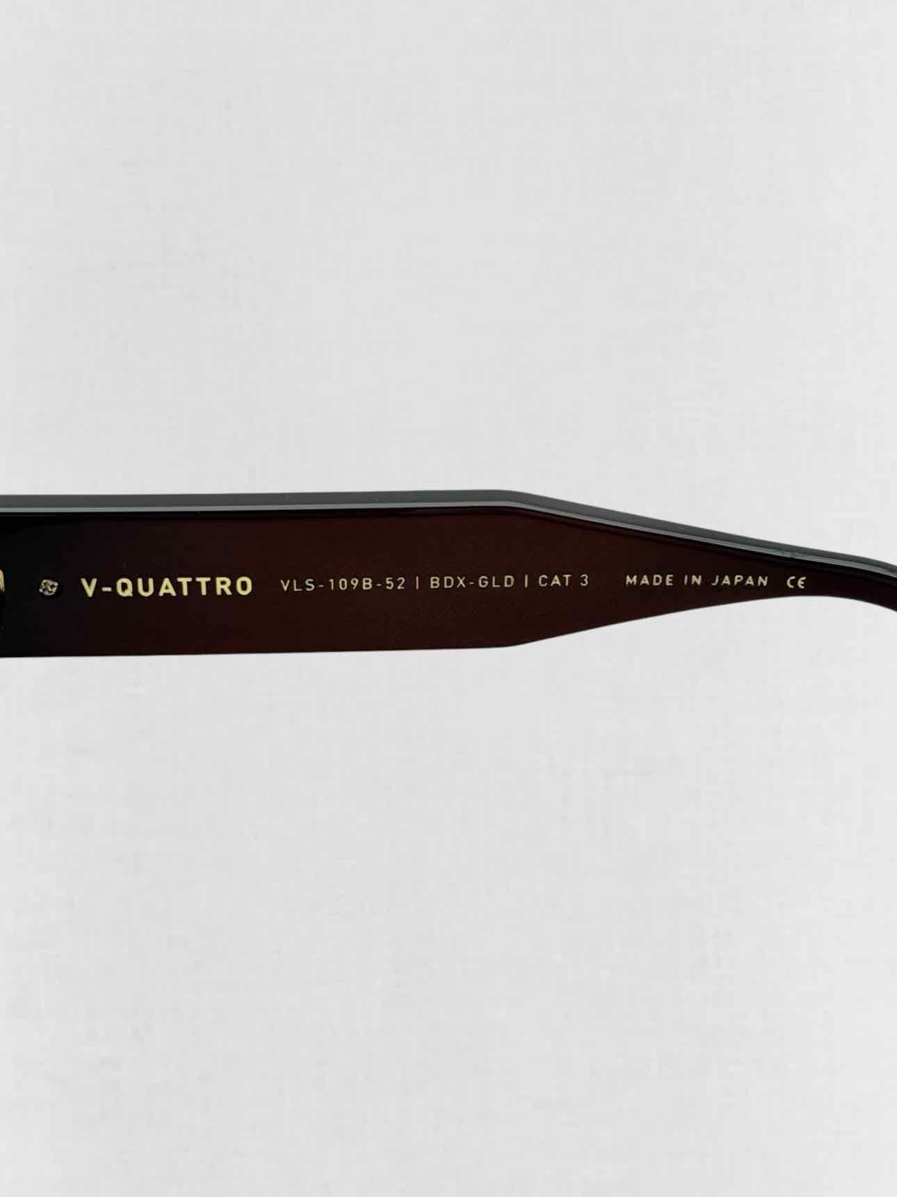 VALENTINO Special Edition Burgundy Sunglasses