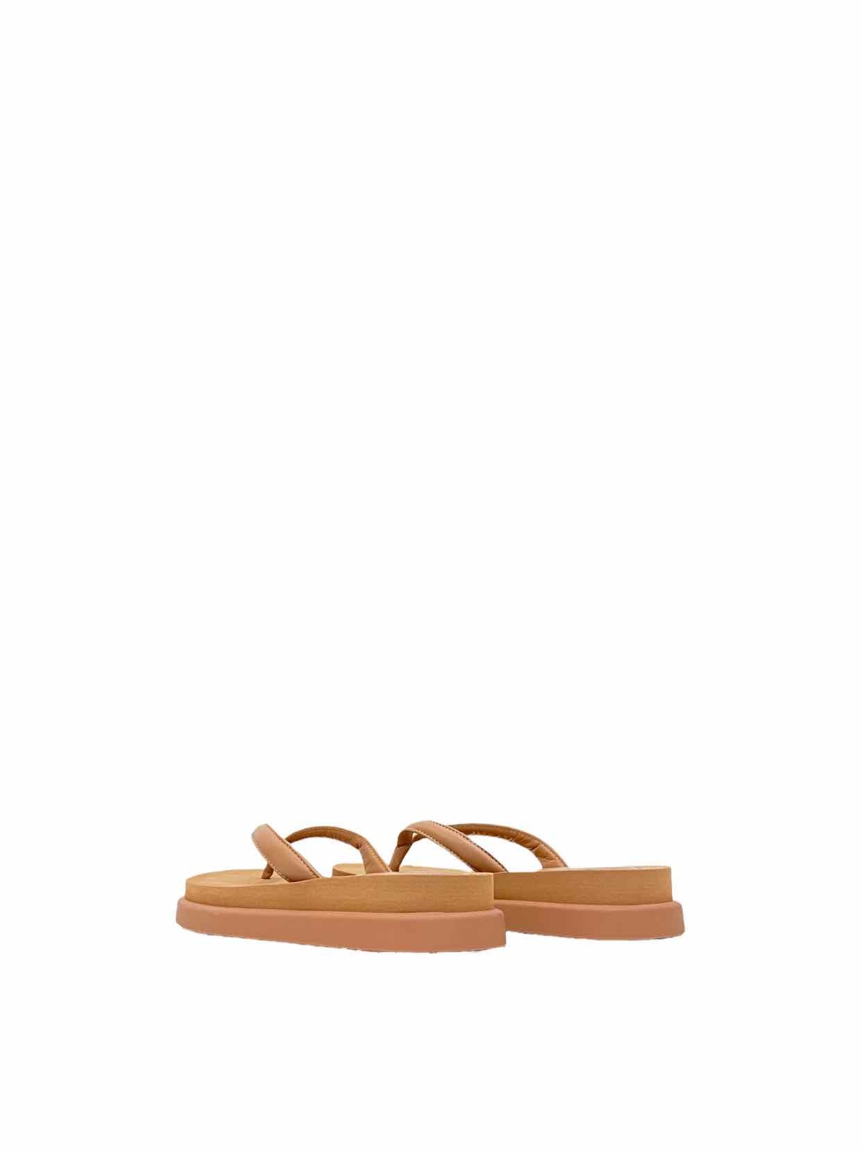 GIANVITO ROSSI Old Rose Flip flops 35