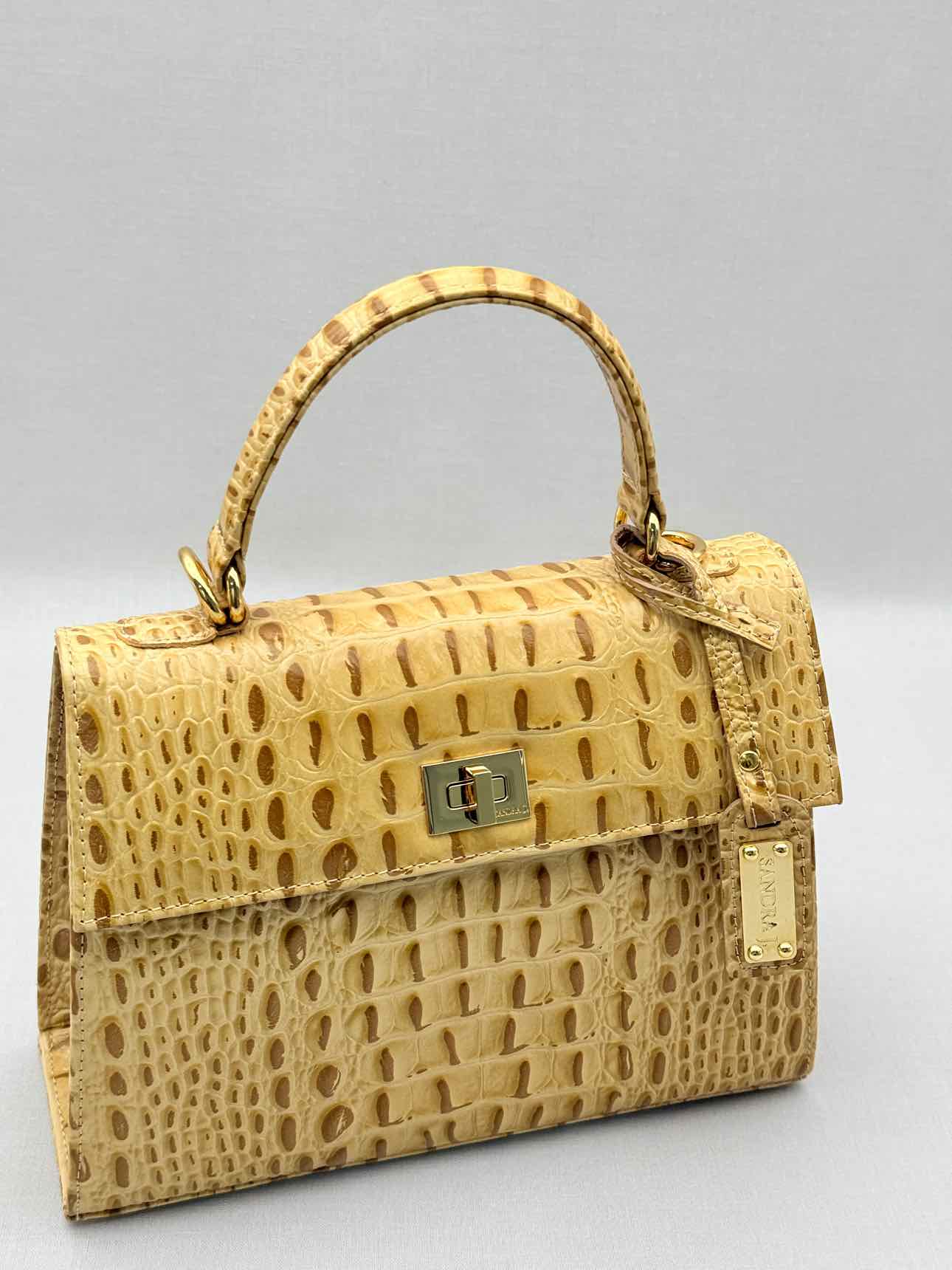 SANDRA J Beige & Brown Top Handle