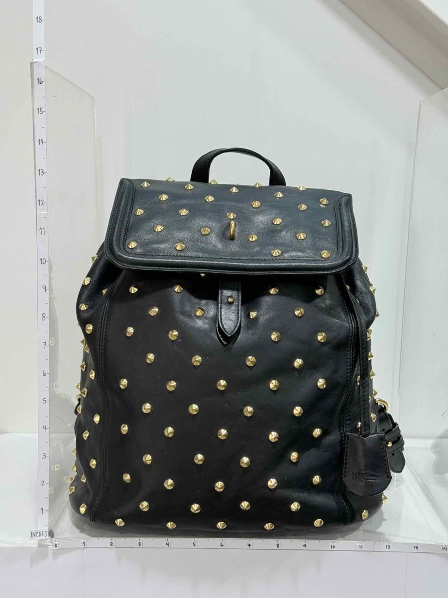 Pre-loved ALEXANDER MCQUEEN Black Backpack at Reems Closet
