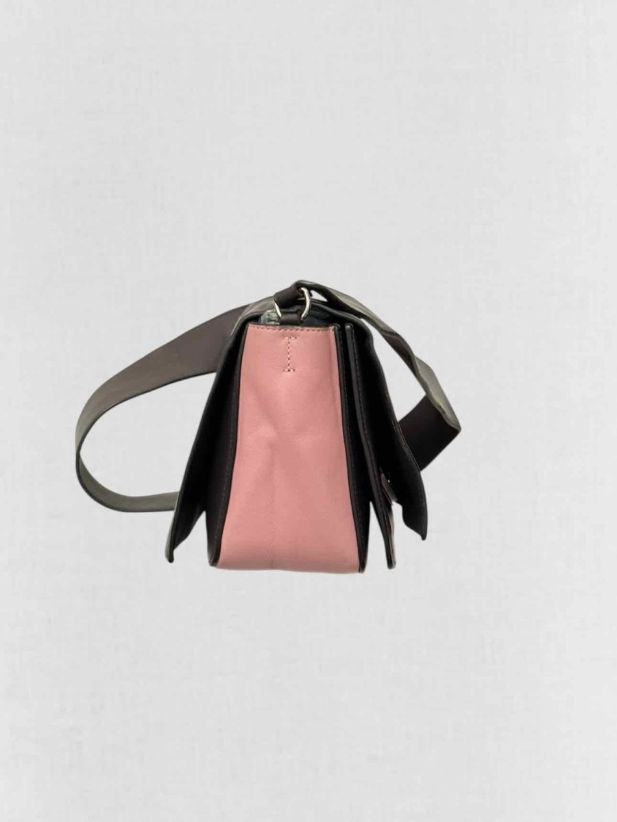 Pre - loved CELINE Grey & Pink Crossbody at Reems Closet