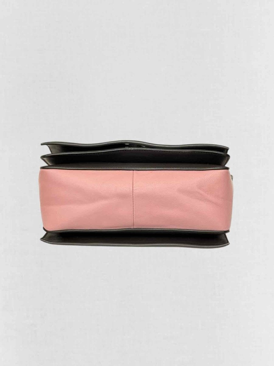 Pre - loved CELINE Grey & Pink Crossbody at Reems Closet