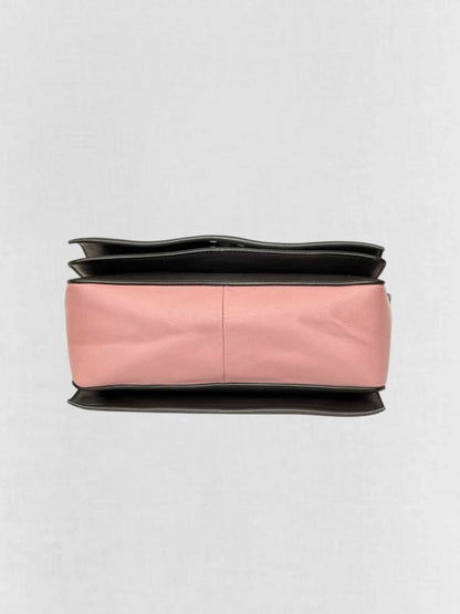 Pre - loved CELINE Grey & Pink Crossbody at Reems Closet