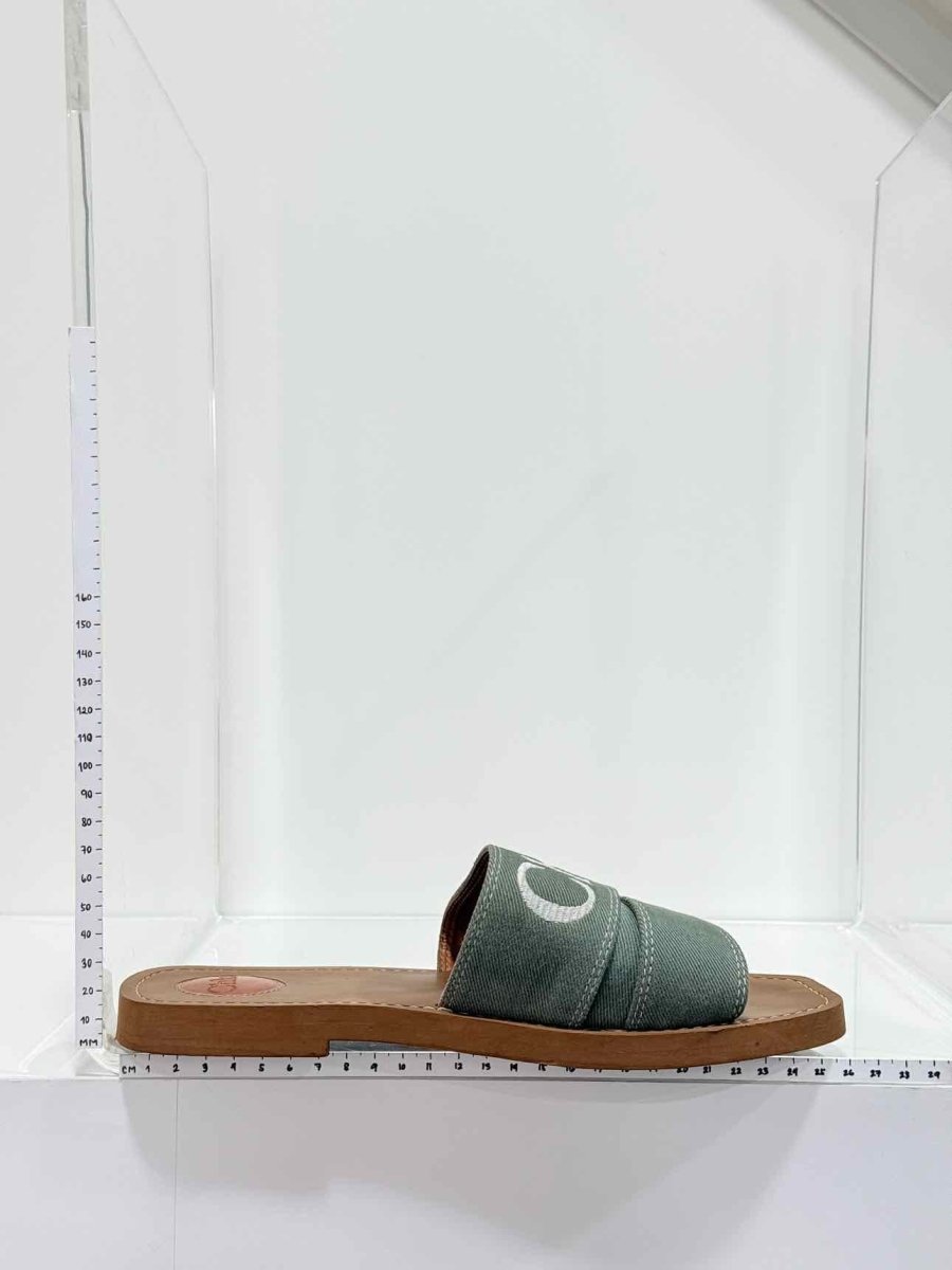 Pre-loved CHLOE Woody Green Logo Size EU 40 Sandals at Reems Closet