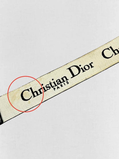 Pre - loved CHRISTIAN DIOR Ultra Matte Black Saddle Bag at Reems Closet