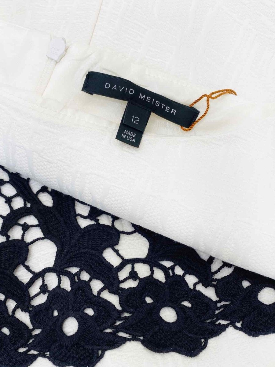 Pre - loved DAVID MEISTER Bodycon Lace Size US 12 Knee Length Dress at Reems Closet