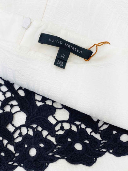 Pre - loved DAVID MEISTER Bodycon Lace Size US 12 Knee Length Dress at Reems Closet