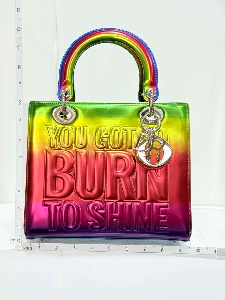 Pre - loved DIOR Limited Edition Multicolor Top Handle at Reems Closet