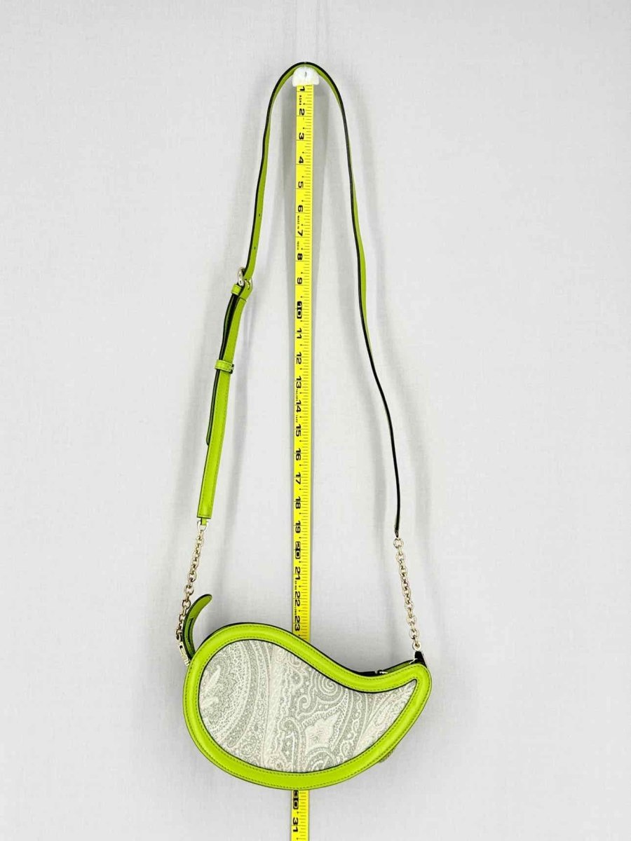 Pre - loved ETRO Green & Grey Paisley Crossbody at Reems Closet