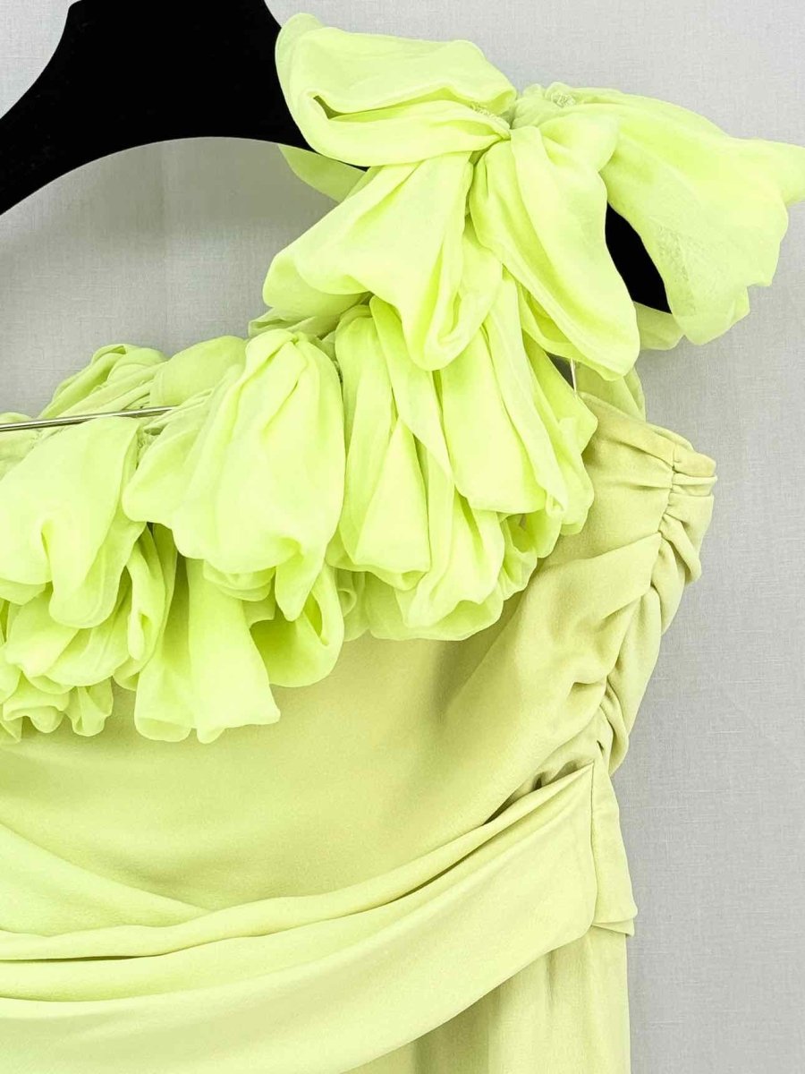 Pre-loved GIAMBATTISTA VALLI Light Green Size US 6 Long Dress at Reems Closet