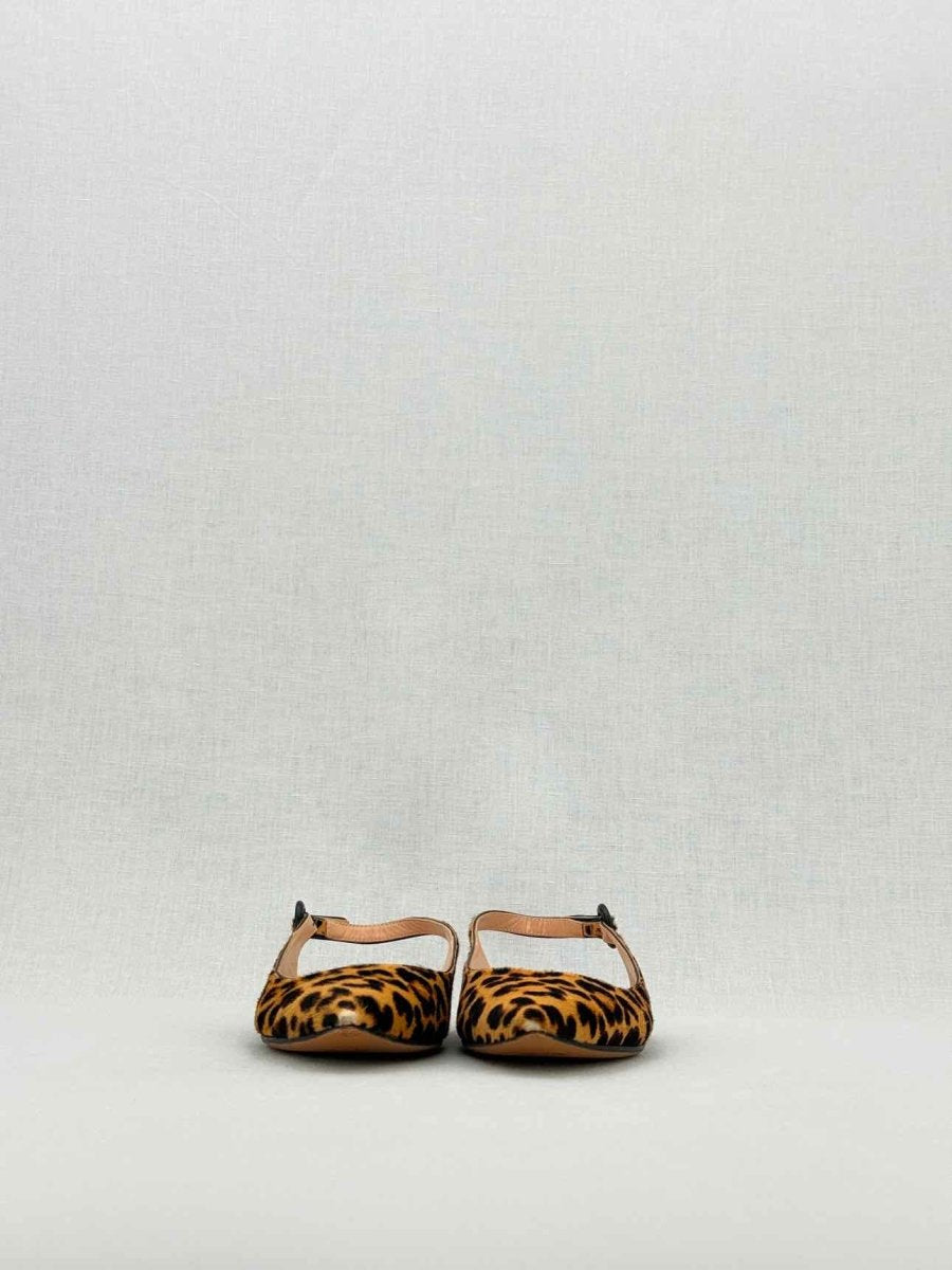 Pre - loved GIANVITO ROSSI Beige & Brown Leopard Size EU 35.5 Flats at Reems Closet