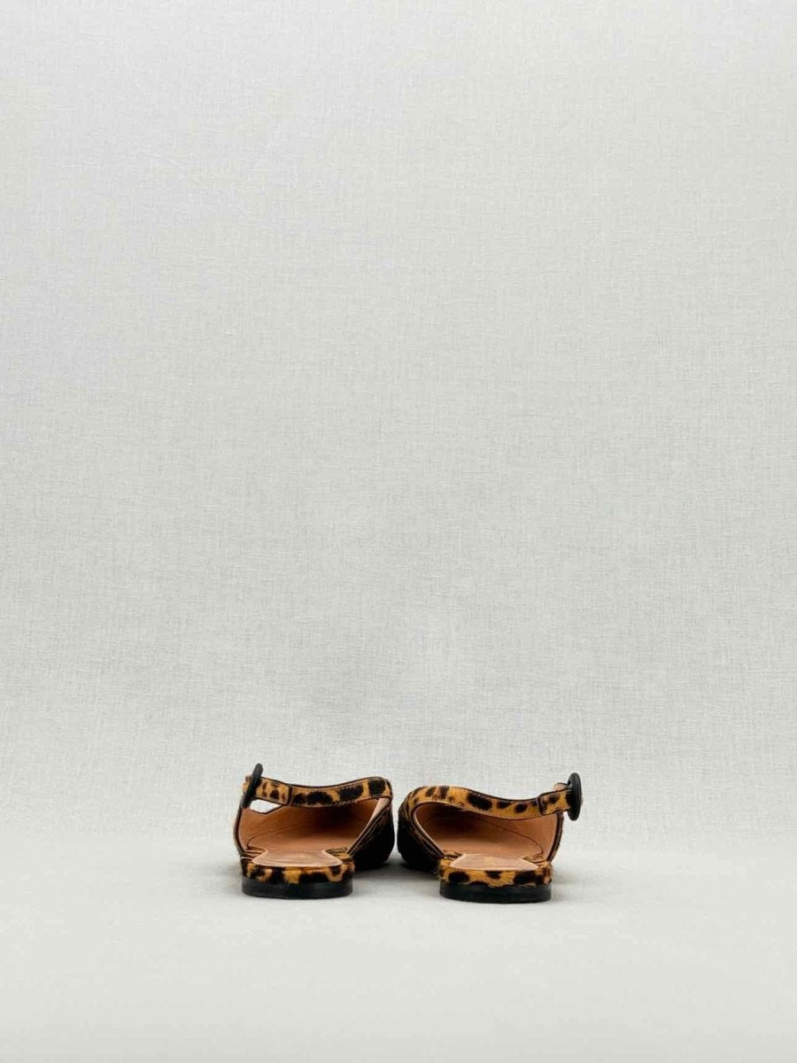 Pre - loved GIANVITO ROSSI Beige & Brown Leopard Size EU 35.5 Flats at Reems Closet