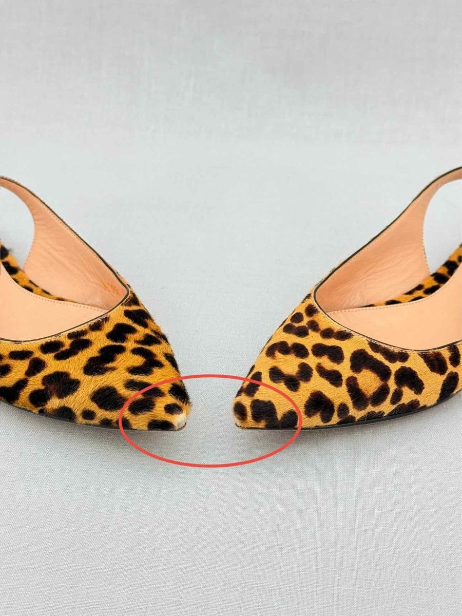 Pre - loved GIANVITO ROSSI Beige & Brown Leopard Size EU 35.5 Flats at Reems Closet