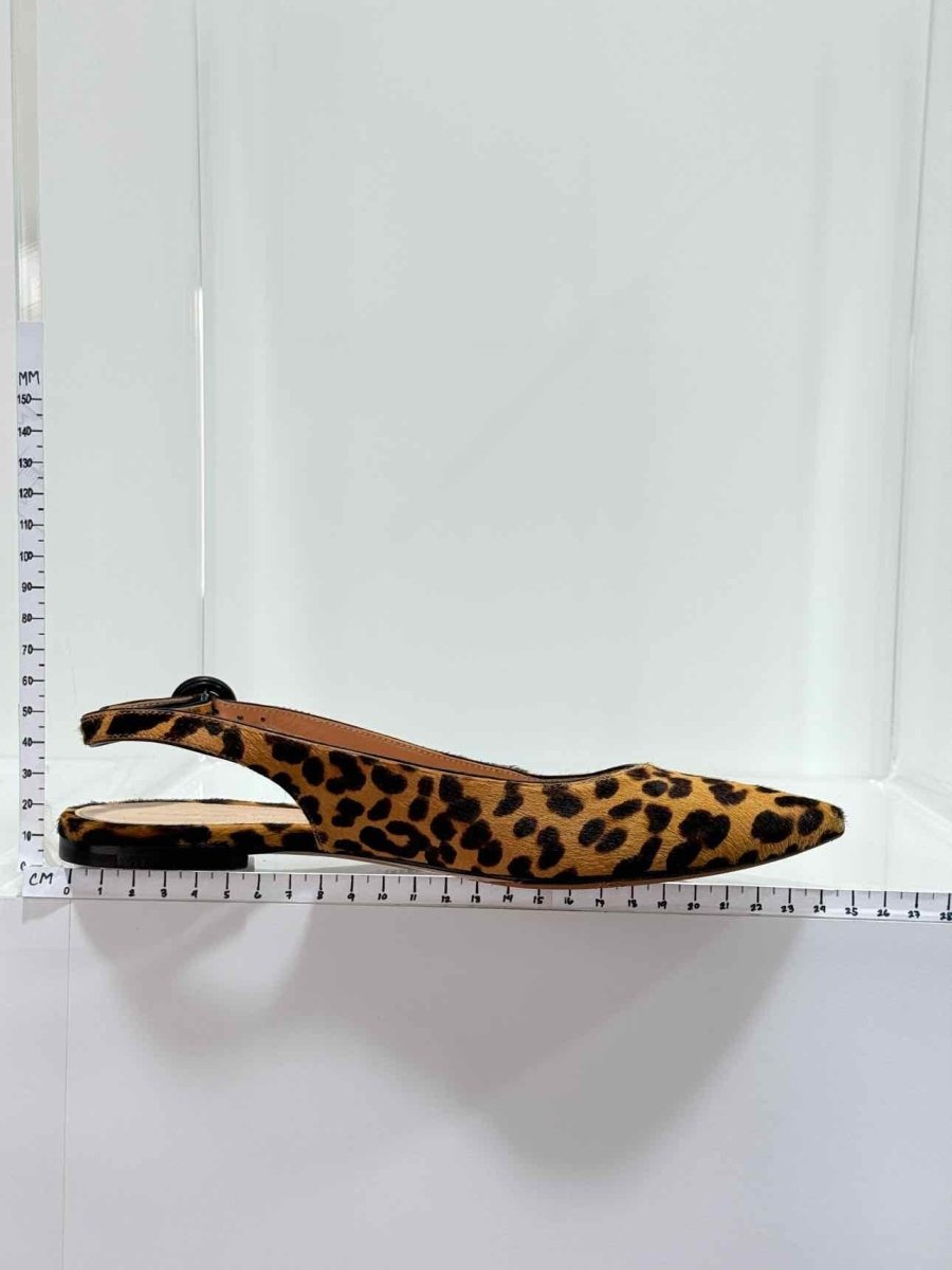 Pre - loved GIANVITO ROSSI Beige & Brown Leopard Size EU 35.5 Flats at Reems Closet